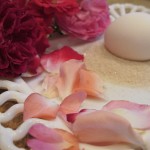 rose petal salad 015