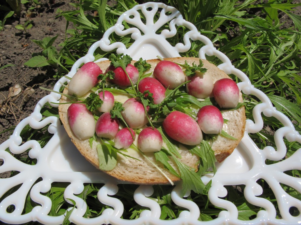 Curly cress, mizuna and radish sandwich